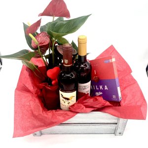 Planta, Chocolates e Vinho para o dia dos namorados