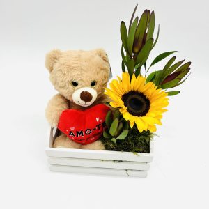 Box girassol e peluche