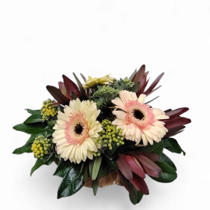 ArranjoFúnebre - Gerbera e Leucadendron