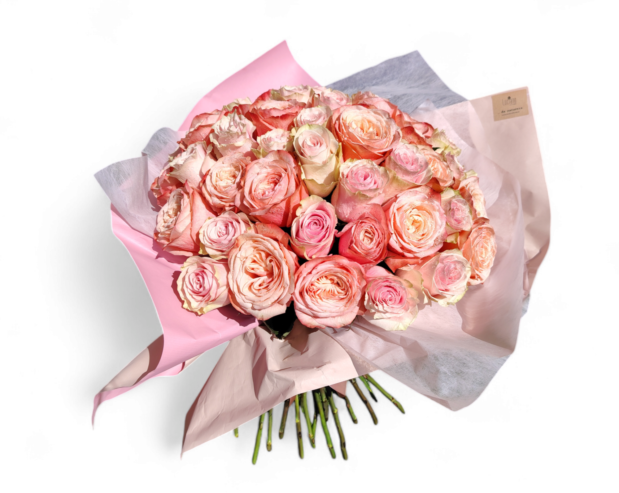 Atado Encanto de Rosas