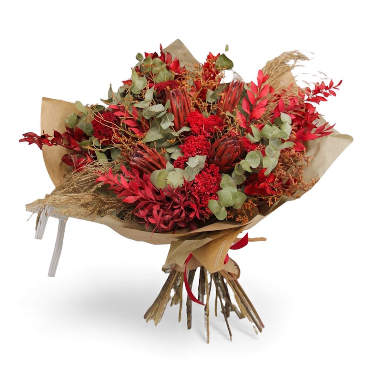 WhatsApp Image 2025-11-24 at 00.18.19 (1)