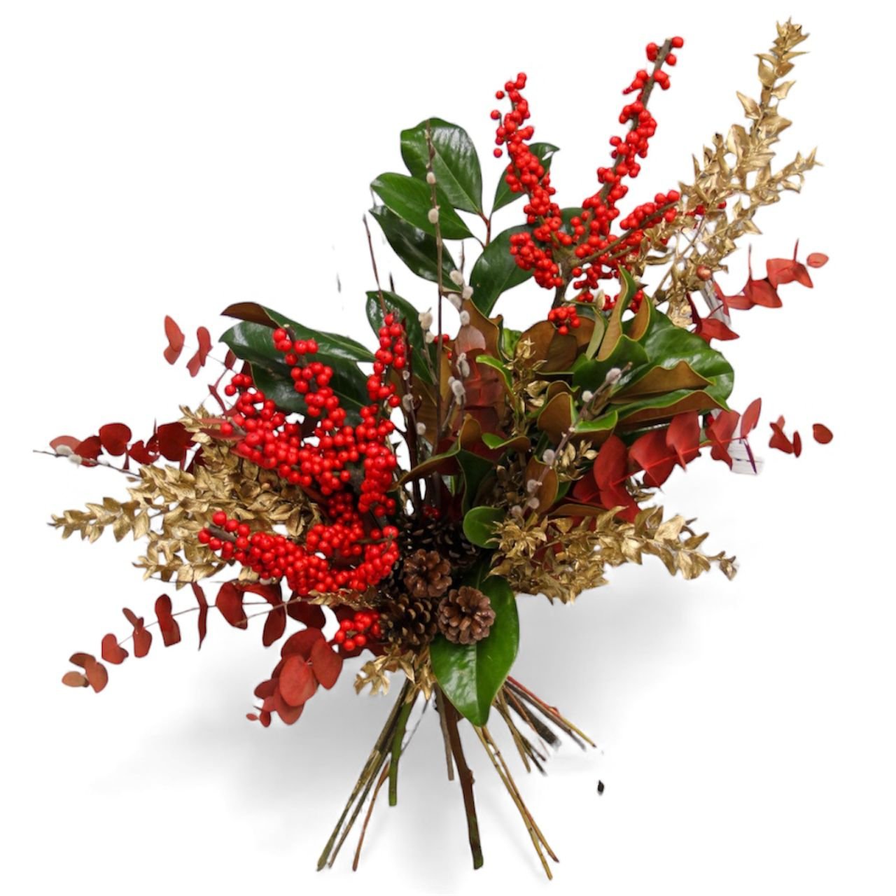 WhatsApp Image 2025-11-24 at 00.18.21 (2)